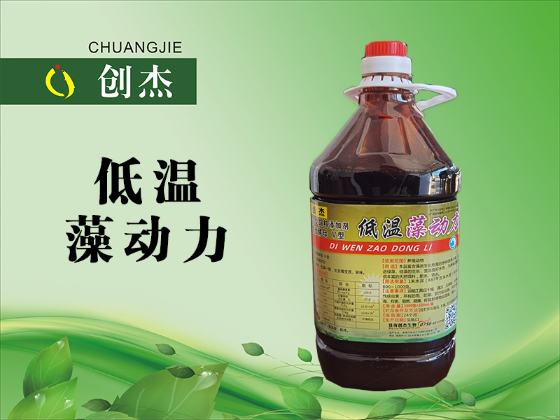 <b>低温藻动力</b>